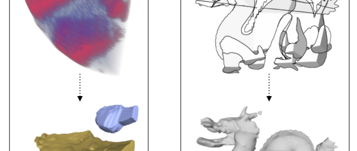 3D Reconstruction from Cross Sections 3D Reconstruction from Cross Sections